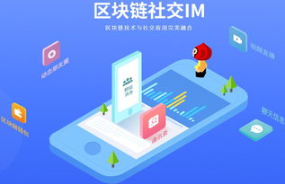 區(qū)塊鏈技術(shù)如何解決即時(shí)通訊系統(tǒng)的開發(fā)痛點(diǎn)